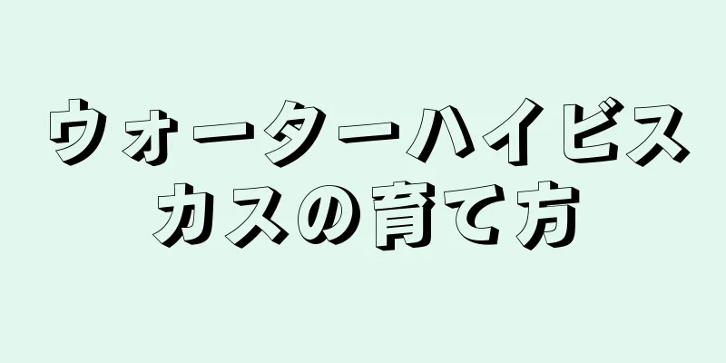 ウォーターハイビスカスの育て方
