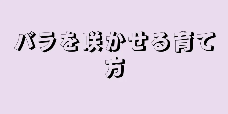 バラを咲かせる育て方