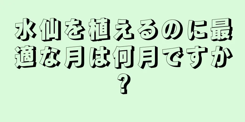 水仙を植えるのに最適な月は何月ですか?