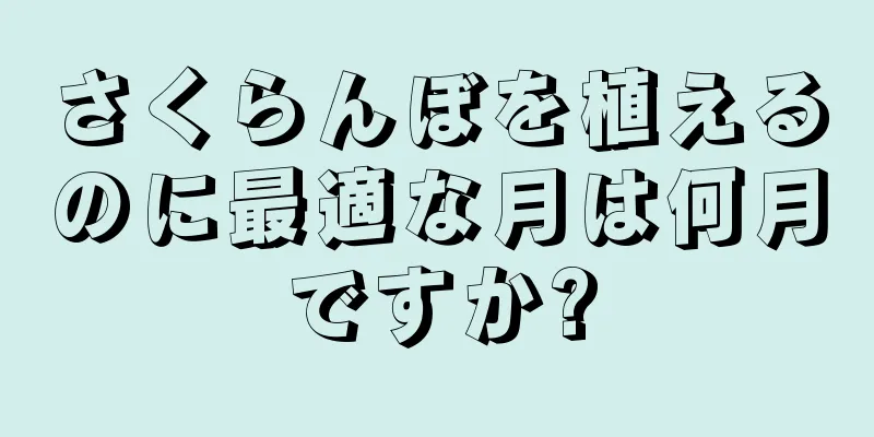さくらんぼを植えるのに最適な月は何月ですか?