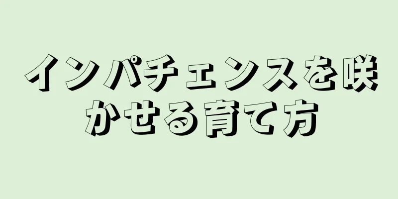 インパチェンスを咲かせる育て方