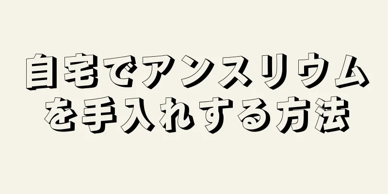 自宅でアンスリウムを手入れする方法