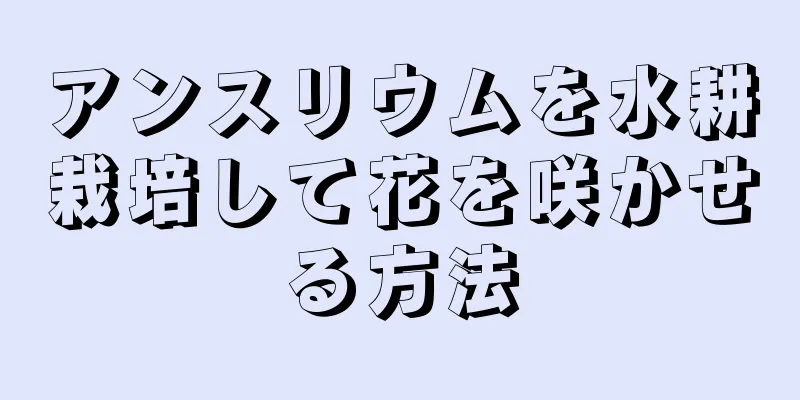 アンスリウムを水耕栽培して花を咲かせる方法