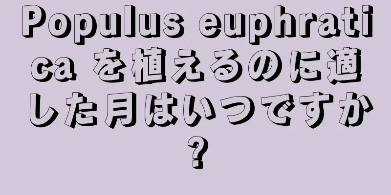 Populus euphratica を植えるのに適した月はいつですか?