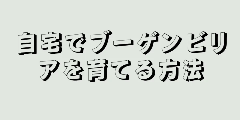 自宅でブーゲンビリアを育てる方法
