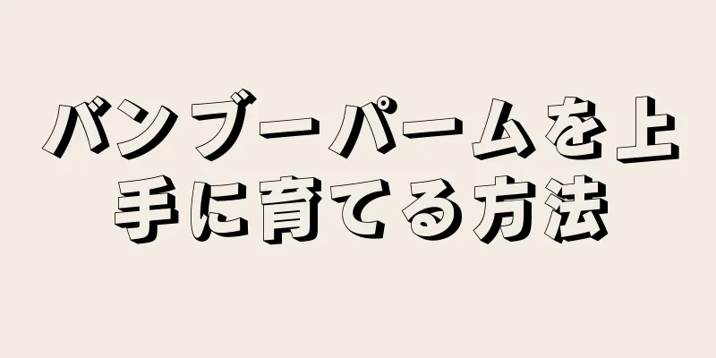 バンブーパームを上手に育てる方法