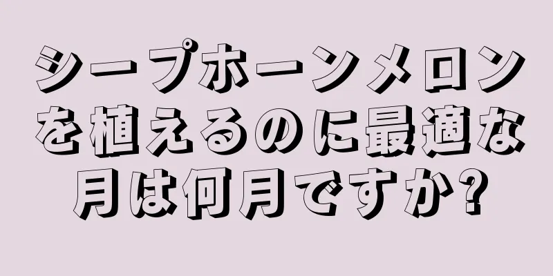 シープホーンメロンを植えるのに最適な月は何月ですか?