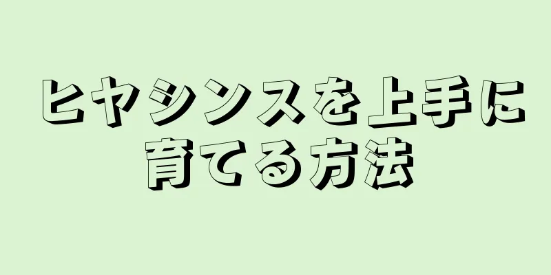 ヒヤシンスを上手に育てる方法