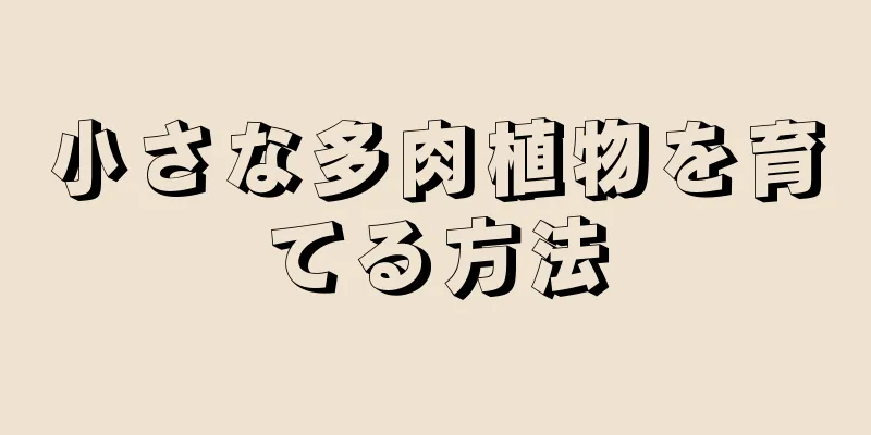 小さな多肉植物を育てる方法