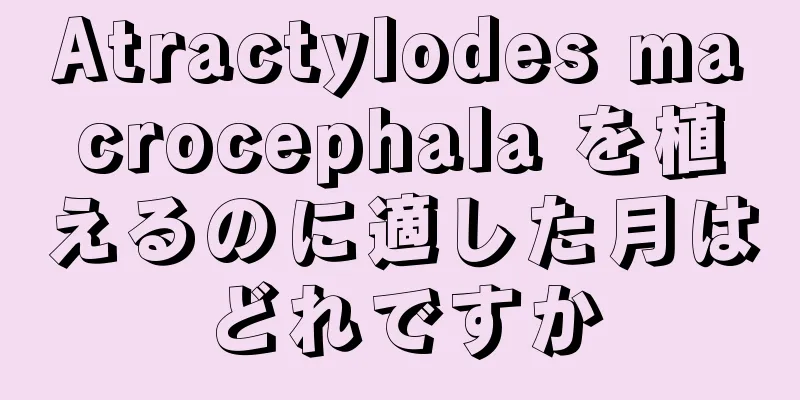 Atractylodes macrocephala を植えるのに適した月はどれですか