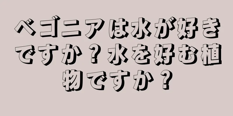 ベゴニアは水が好きですか？水を好む植物ですか？