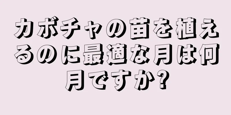 カボチャの苗を植えるのに最適な月は何月ですか?