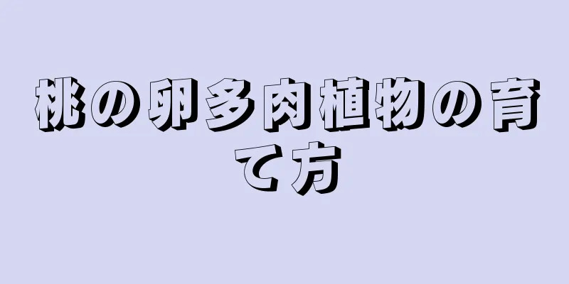 桃の卵多肉植物の育て方