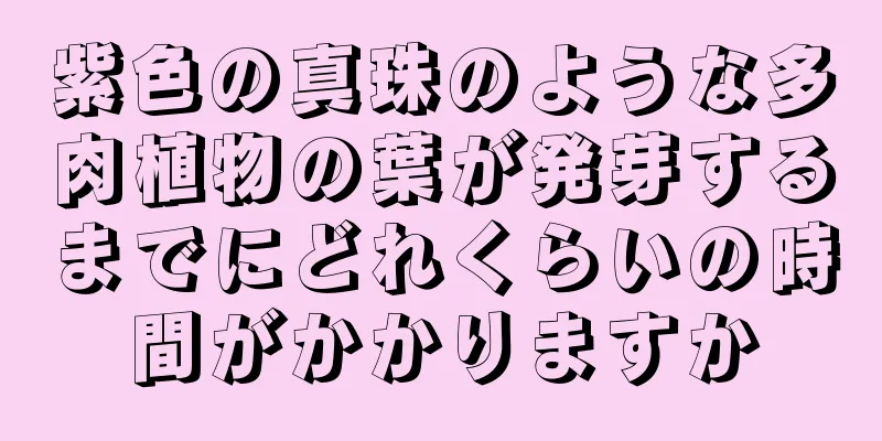 紫色の真珠のような多肉植物の葉が発芽するまでにどれくらいの時間がかかりますか