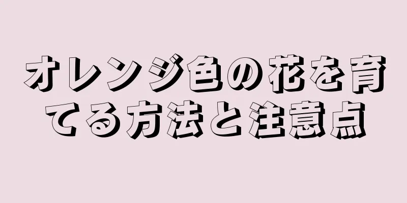 オレンジ色の花を育てる方法と注意点