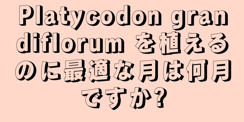 Platycodon grandiflorum を植えるのに最適な月は何月ですか?