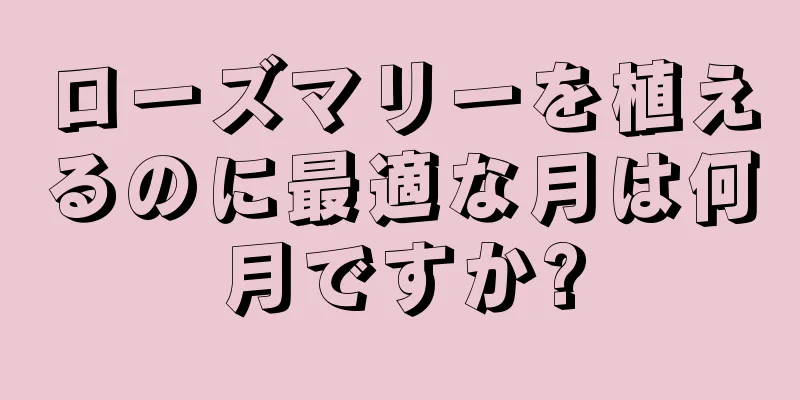 ローズマリーを植えるのに最適な月は何月ですか?