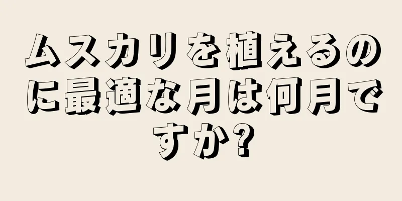 ムスカリを植えるのに最適な月は何月ですか?