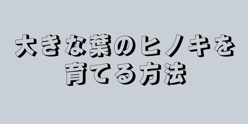 大きな葉のヒノキを育てる方法