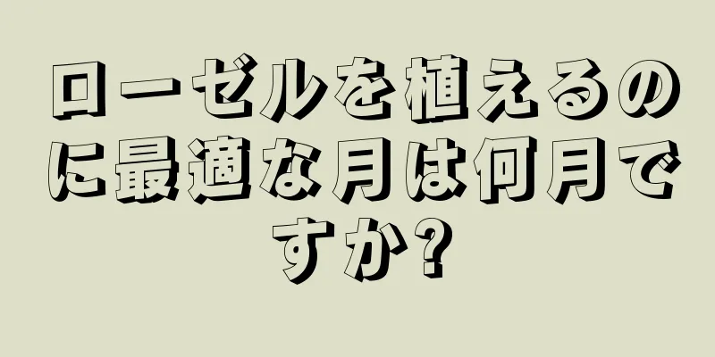 ローゼルを植えるのに最適な月は何月ですか?