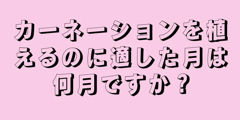 カーネーションを植えるのに適した月は何月ですか？