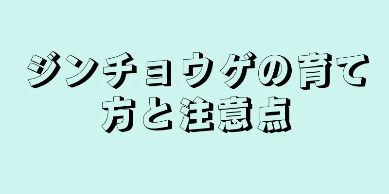 ジンチョウゲの育て方と注意点