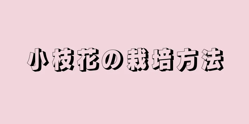 小枝花の栽培方法