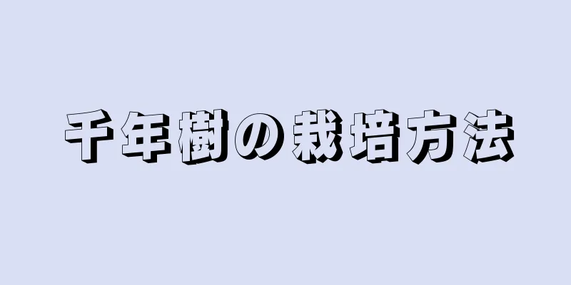千年樹の栽培方法
