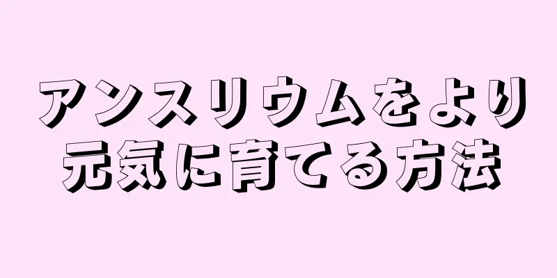 アンスリウムをより元気に育てる方法