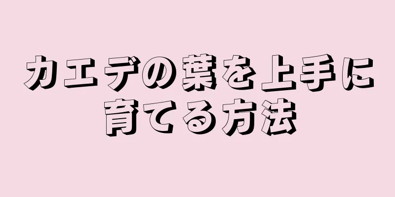 カエデの葉を上手に育てる方法