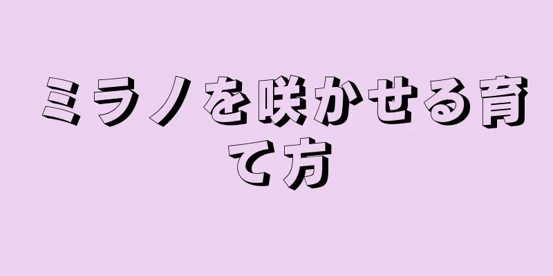 ミラノを咲かせる育て方