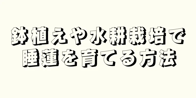 鉢植えや水耕栽培で睡蓮を育てる方法