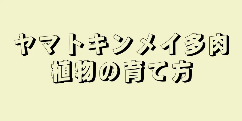 ヤマトキンメイ多肉植物の育て方
