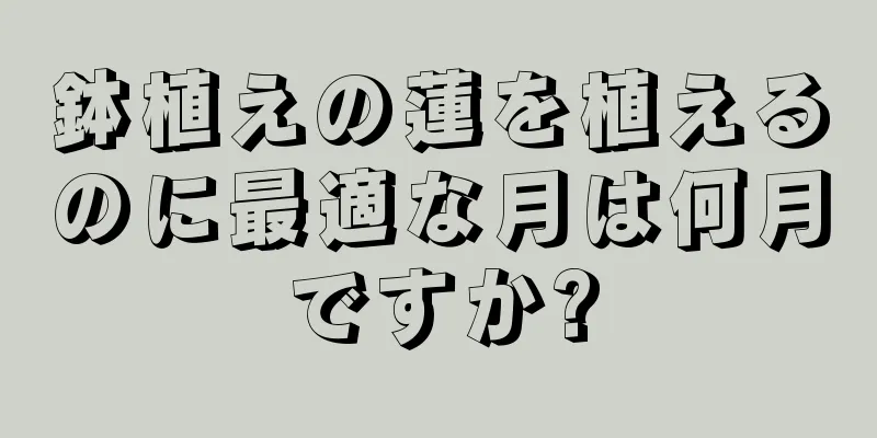 鉢植えの蓮を植えるのに最適な月は何月ですか?