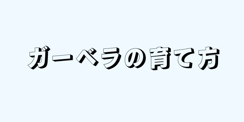 ガーベラの育て方