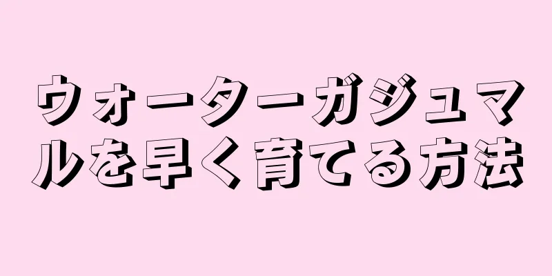 ウォーターガジュマルを早く育てる方法