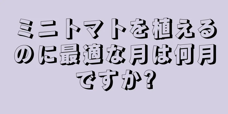 ミニトマトを植えるのに最適な月は何月ですか?