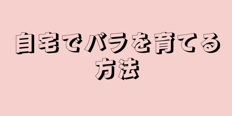 自宅でバラを育てる方法