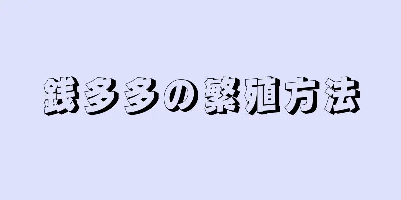 銭多多の繁殖方法
