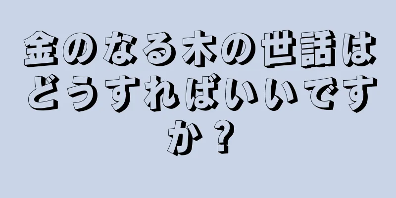 金のなる木の世話はどうすればいいですか？