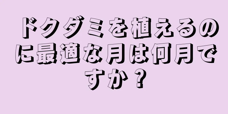 ドクダミを植えるのに最適な月は何月ですか？