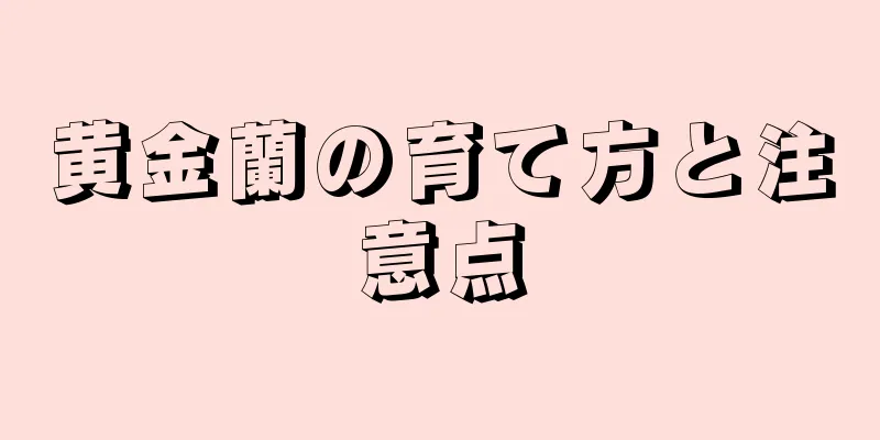 黄金蘭の育て方と注意点