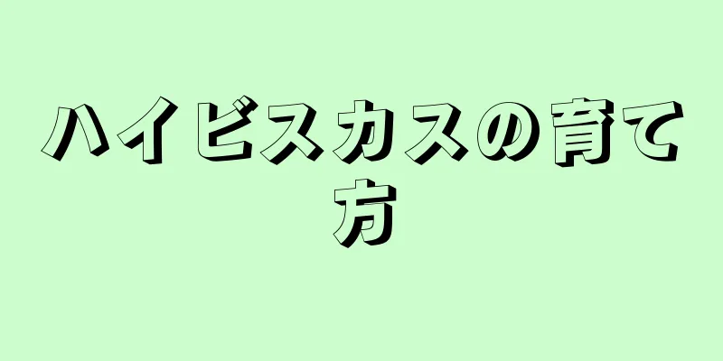 ハイビスカスの育て方