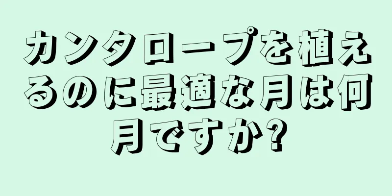カンタロープを植えるのに最適な月は何月ですか?