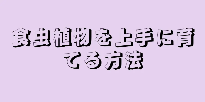 食虫植物を上手に育てる方法