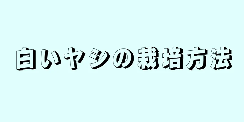 白いヤシの栽培方法