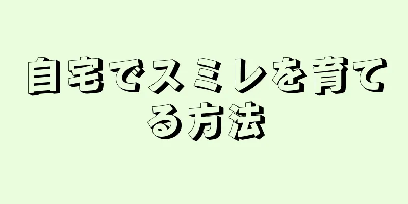自宅でスミレを育てる方法