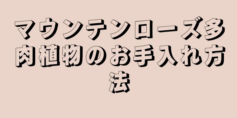 マウンテンローズ多肉植物のお手入れ方法