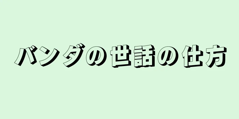 バンダの世話の仕方