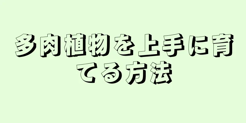 多肉植物を上手に育てる方法